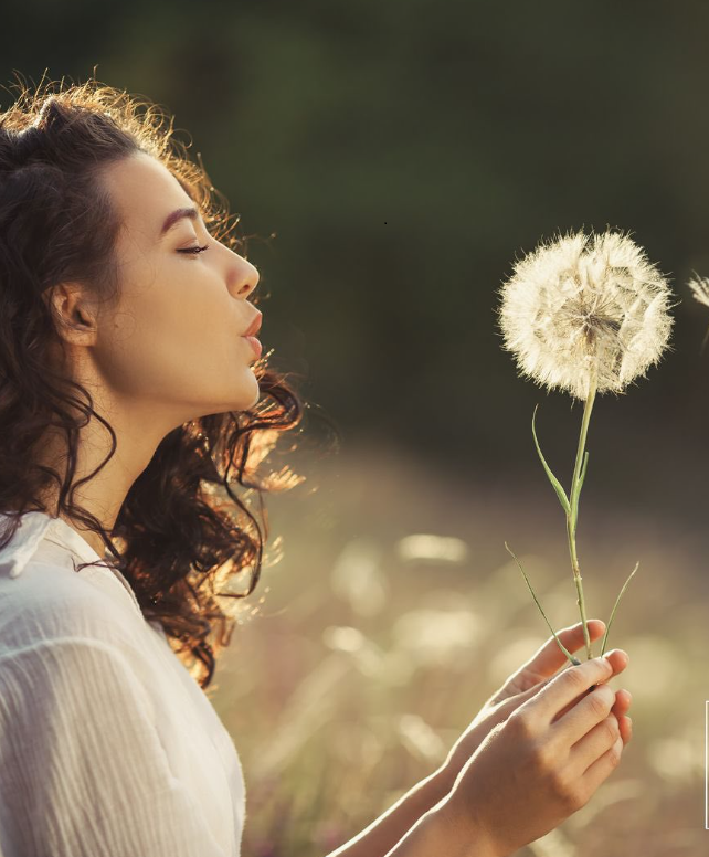 Schermafbeelding 2024-02-26 151827